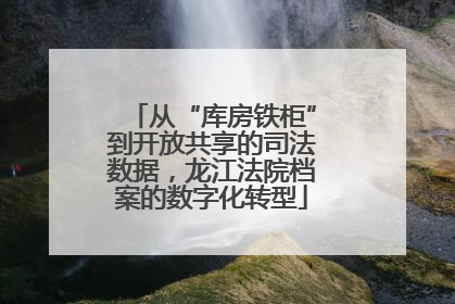从“库房铁柜”到开放共享的司法数据，龙江法院档案的数字化转型