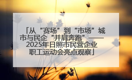 从“赛场”到“市场”城市与民企“并肩奔跑”——2025年日照市民营企业职工运动会亮点观察