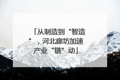 从制造到“智造”，河北廊坊加速产业“链”动
