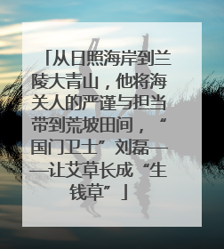 从日照海岸到兰陵大青山，他将海关人的严谨与担当带到荒坡田间，“国门卫士”刘磊——让艾草长成“生钱草”