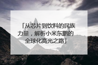 从芯片到饮料的民族力量，解析小米东鹏的全球化高光之路