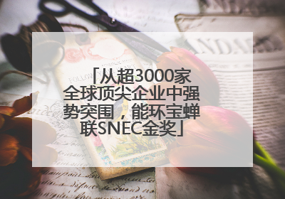 从超3000家全球顶尖企业中强势突围，能环宝蝉联SNEC金奖