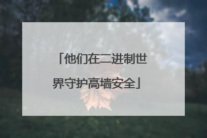 他们在二进制世界守护高墙安全