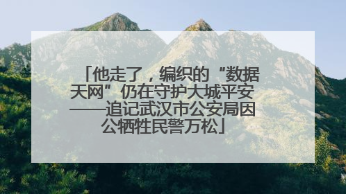 他走了，编织的“数据天网”仍在守护大城平安——追记武汉市公安局因公牺牲民警万松