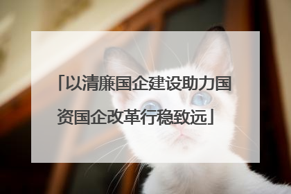 以清廉国企建设助力国资国企改革行稳致远