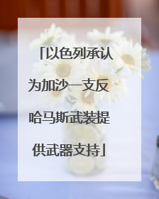以色列承认为加沙一支反哈马斯武装提供武器支持