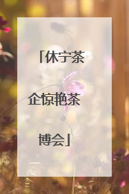 休宁茶企惊艳茶博会
