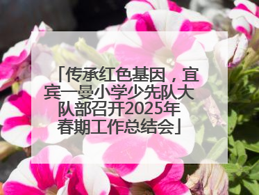 传承红色基因，宜宾一曼小学少先队大队部召开2025年春期工作总结会