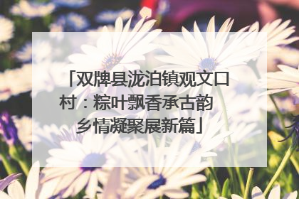 双牌县泷泊镇观文口村：粽叶飘香承古韵 乡情凝聚展新篇