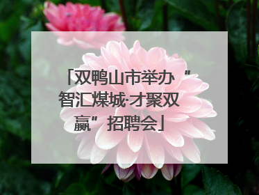 双鸭山市举办“智汇煤城·才聚双赢”招聘会