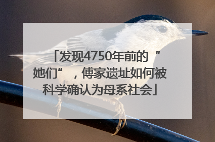 发现4750年前的“她们”，傅家遗址如何被科学确认为母系社会