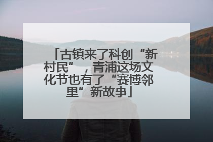 古镇来了科创“新村民”，青浦这场文化节也有了“赛博邻里”新故事