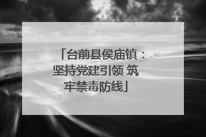 台前县侯庙镇：坚持党建引领 筑牢禁毒防线