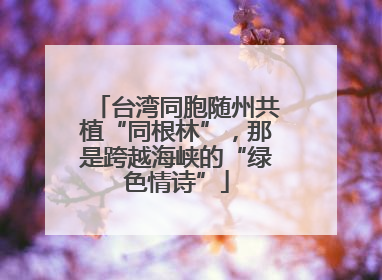 台湾同胞随州共植“同根林”，那是跨越海峡的“绿色情诗”