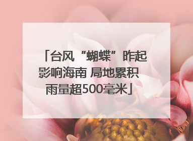 台风“蝴蝶”昨起影响海南 局地累积雨量超500毫米