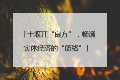 十堰开“良方”，畅通实体经济的“筋络”