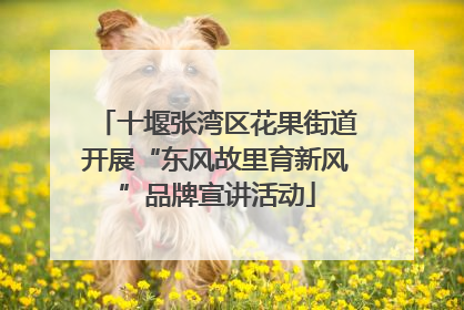 十堰张湾区花果街道开展“东风故里育新风”品牌宣讲活动