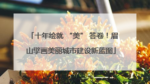 十年绘就 “美” 答卷！眉山擘画美丽城市建设新蓝图