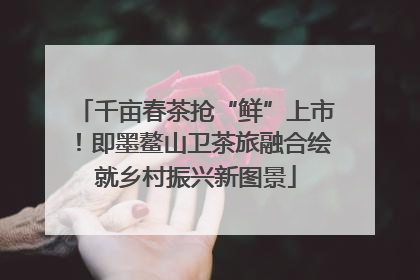 千亩春茶抢“鲜”上市！即墨鳌山卫茶旅融合绘就乡村振兴新图景