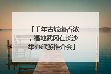 千年古城卤香浓，福地武冈在长沙举办旅游推介会