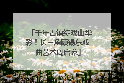 千年古镇绽戏曲华彩！长三角顾锡东戏曲艺术周启幕
