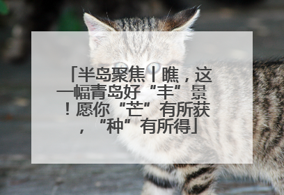 半岛聚焦丨瞧，这一幅青岛好“丰”景！愿你“芒”有所获，“种”有所得