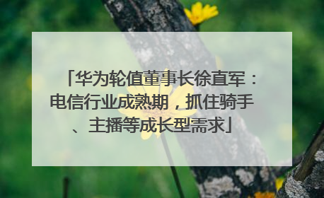 华为轮值董事长徐直军：电信行业成熟期，抓住骑手、主播等成长型需求