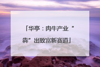 华亭：肉牛产业“犇”出致富新赛道
