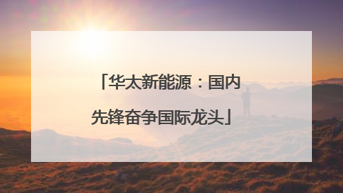华太新能源：国内先锋奋争国际龙头