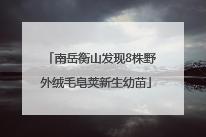 南岳衡山发现8株野外绒毛皂荚新生幼苗