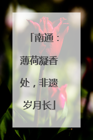 南通：薄荷凝香处，非遗岁月长