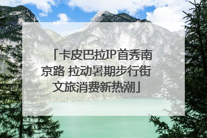 卡皮巴拉IP首秀南京路 拉动暑期步行街文旅消费新热潮