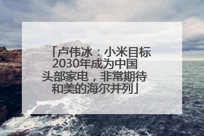 卢伟冰：小米目标2030年成为中国头部家电，非常期待和美的海尔并列