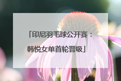印尼羽毛球公开赛：韩悦女单首轮晋级