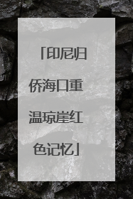 印尼归侨海口重温琼崖红色记忆