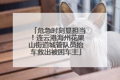 危急时刻显担当！连云港海州花果山街道城管队员抬车救出被困车主
