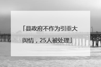 县政府不作为引重大舆情，25人被处理