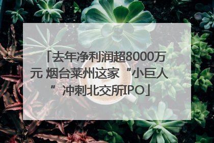 去年净利润超8000万元 烟台莱州这家“小巨人”冲刺北交所IPO