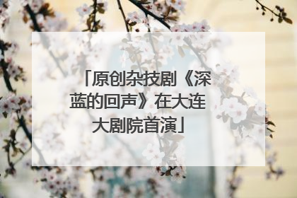 原创杂技剧《深蓝的回声》在大连大剧院首演