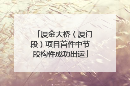 厦金大桥（厦门段）项目首件中节段构件成功出运