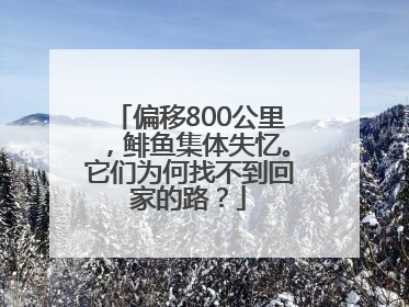 偏移800公里，鲱鱼集体失忆。它们为何找不到回家的路？