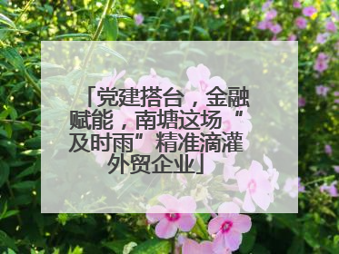 党建搭台，金融赋能，南塘这场“及时雨”精准滴灌外贸企业