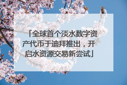 全球首个淡水数字资产代币于迪拜推出，开启水资源交易新尝试