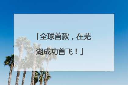 全球首款，在芜湖成功首飞！