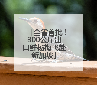 全省首批！300公斤出口鲜杨梅飞赴新加坡