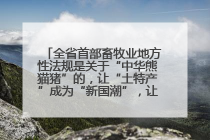 全省首部畜牧业地方性法规是关于“中华熊猫猪”的，让“土特产”成为“新国潮”，让“农产品”升格为“城市IP”