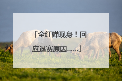 全红婵现身！回应退赛原因……