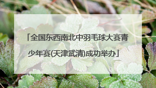 全国东西南北中羽毛球大赛青少年赛(天津武清)成功举办