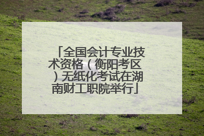 全国会计专业技术资格（衡阳考区）无纸化考试在湖南财工职院举行