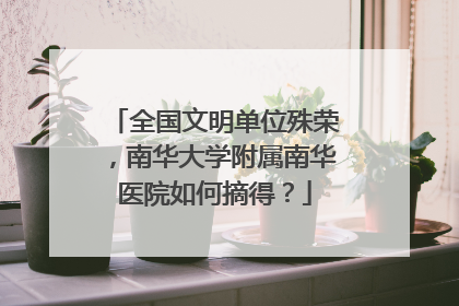 全国文明单位殊荣，南华大学附属南华医院如何摘得？